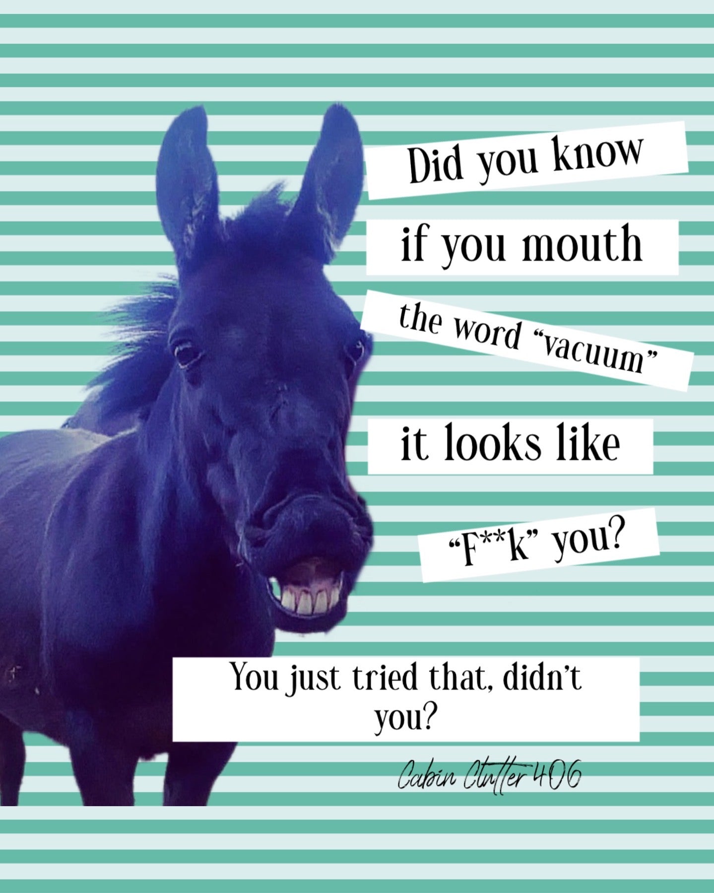 General Greeting Card - Did you know if you mouth the word 'vacuum' it looks like 'f**k you?' You just tried that, didn't you?