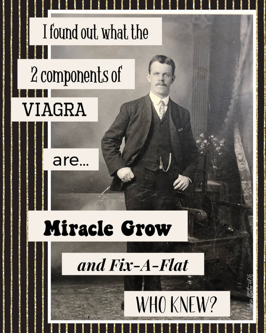 General Greeting Card - I found out what the 2 components of viagra are...miracle grow and fix-a-flat